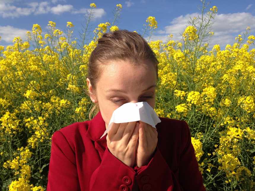 La Bacopa Monnieri sirve para las alergias