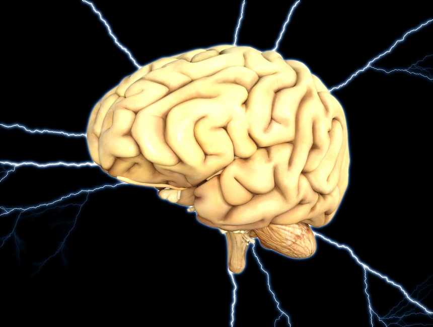 Cerebro Beneficios del Ginseng para el cerebro