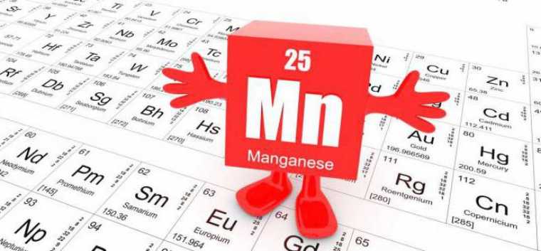 Para qué sirve el Manganeso en el cuerpo humano