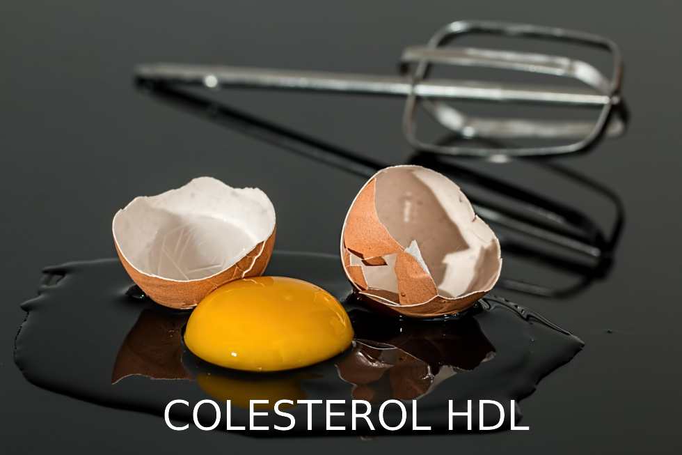 Colesterol HDL