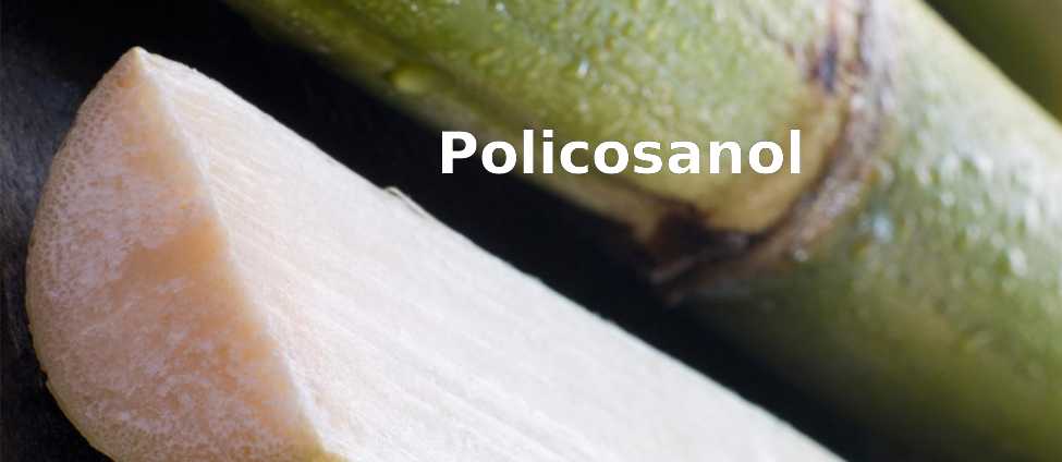Beneficios y Propiedades del Policosanol