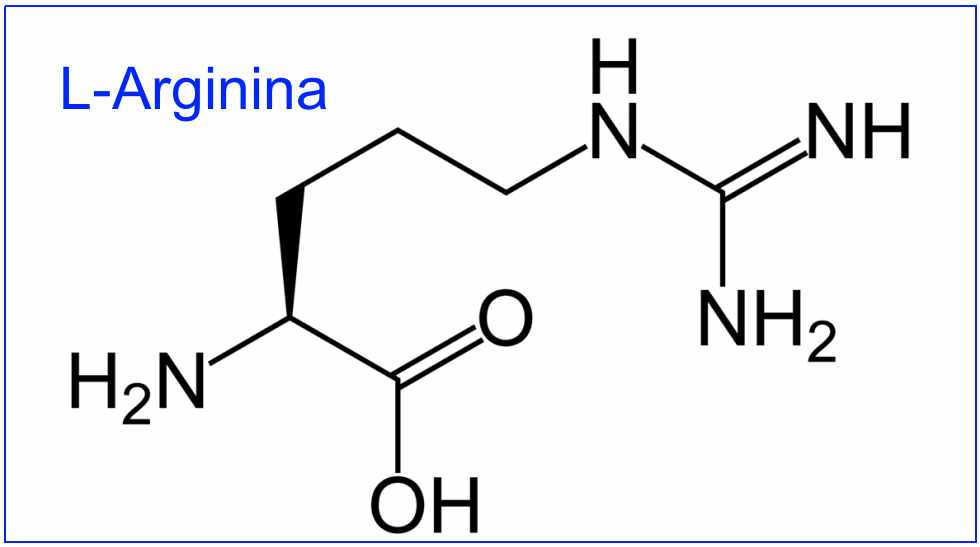 Beneficios y uso de la L-Arginina