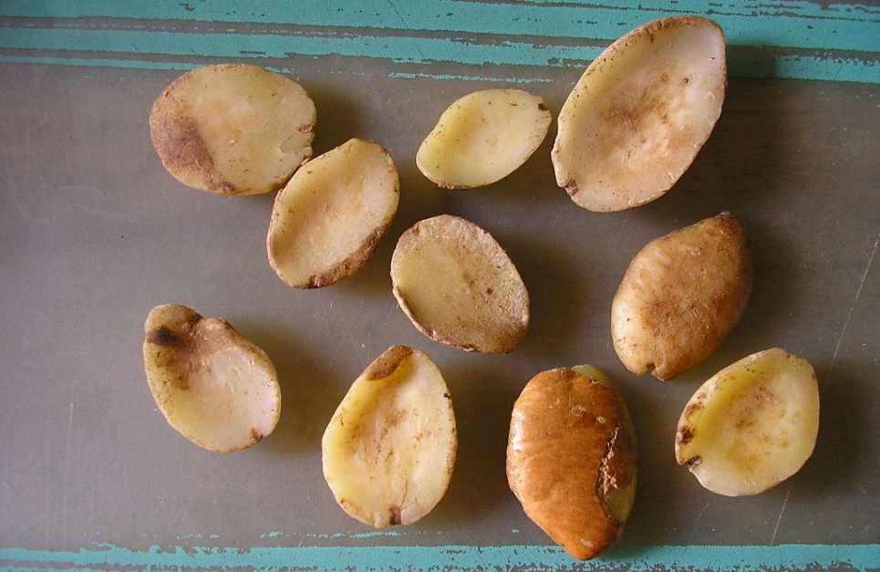 Beneficios y propiedades del Mango Africano
