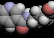 Dosis y Advertencias sobre el Picamiloin