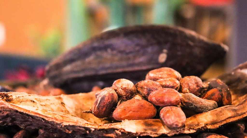 Beneficios del cacao y el chocolate