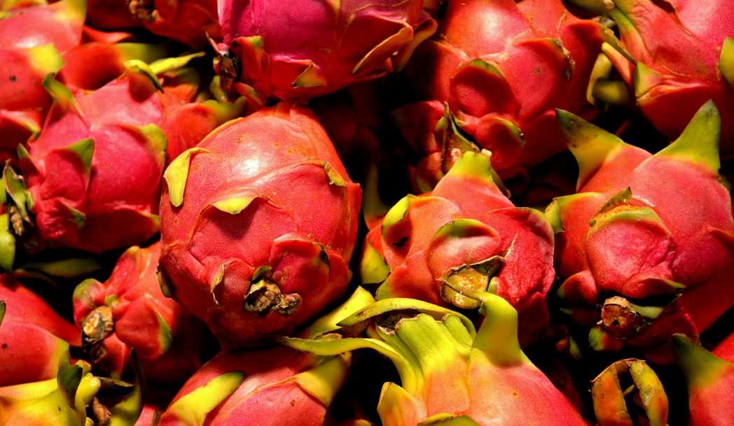 Pitaya: beneficios e información nutricional de esta fruta