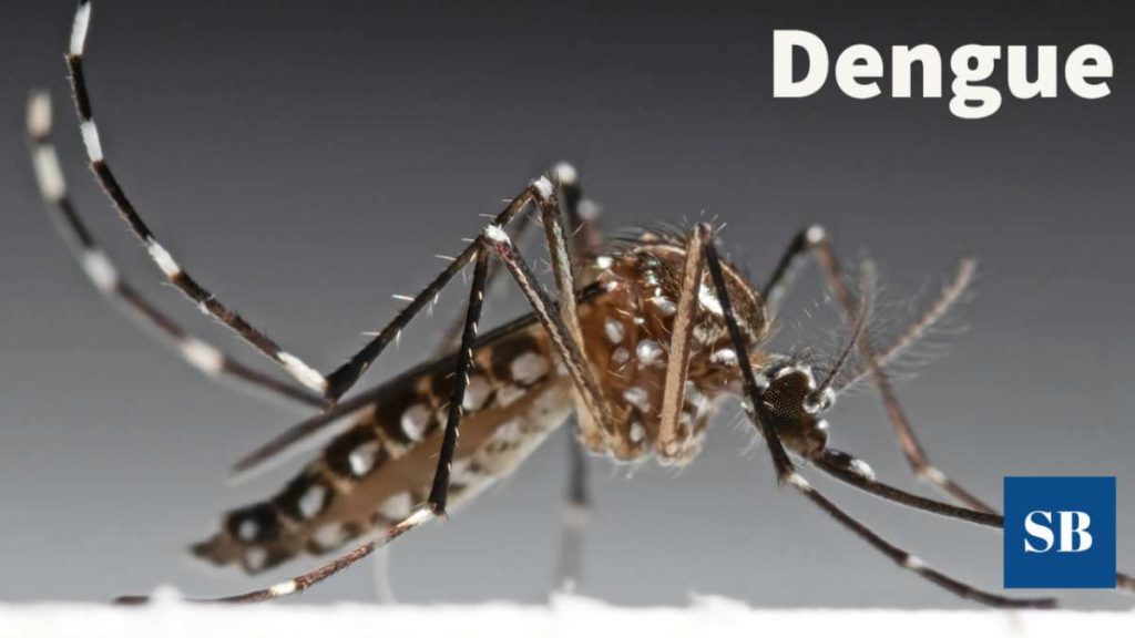 Dengue: un asesino silencioso